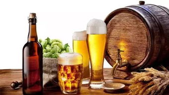 啤酒的多元魅力 不止于解渴，探尋其獨(dú)特風(fēng)味與妙用